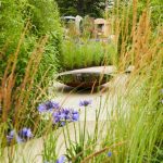 water bowl feature in middle of garden path